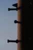 IMG_7975_fein.jpg